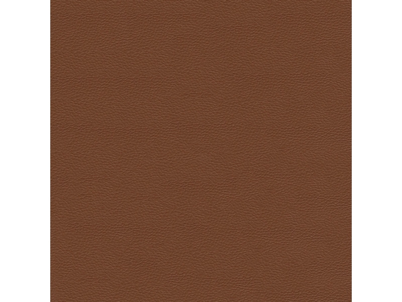 新疆 棕色